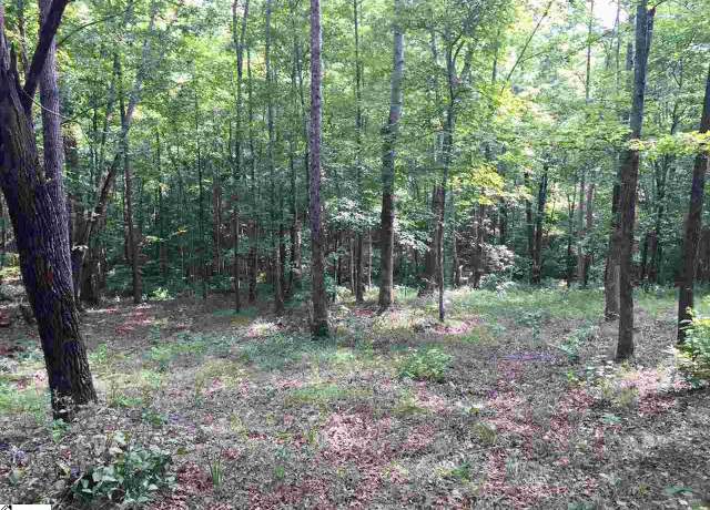 Property at 200 Darting Sparrow Way, Marietta, SC 29661