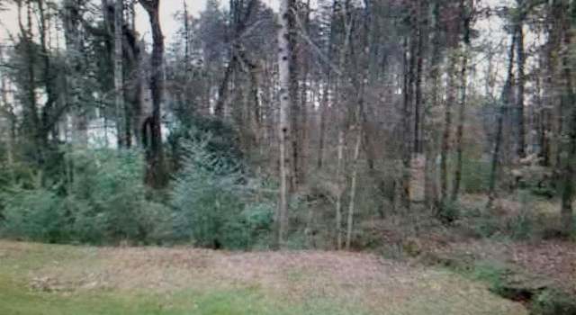Photo of 205 Bluff Dr, Greenville, SC 29605