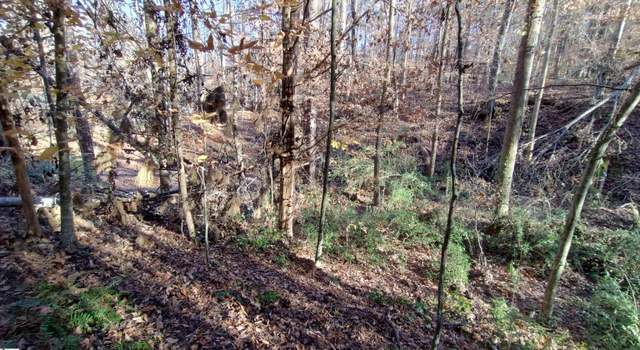 Photo of 00B Blair Rd, Laurens, SC 29360-8315