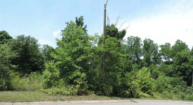 Photo of 227 Pleasant Oak Ct, Greer, SC 29651