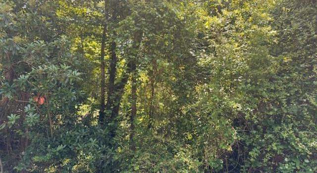 Photo of S Center St, Spartanburg, SC 29301