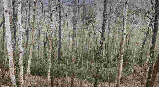 Photo of 305 Sedgewick Rd, Travelers Rest, SC 29690