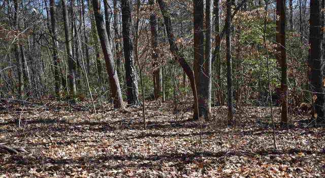 Photo of Grandwood Blvd Lot 40 Section 1, Gray Court, SC 29645