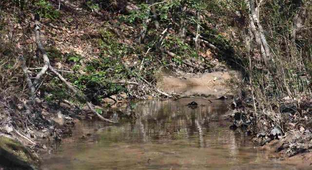 Photo of Grandwood Blvd Lot 40 Section 1, Gray Court, SC 29645