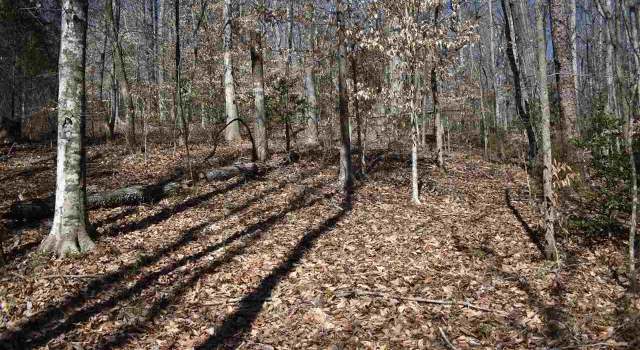 Photo of Grandwood Blvd Lot 40 Section 1, Gray Court, SC 29645