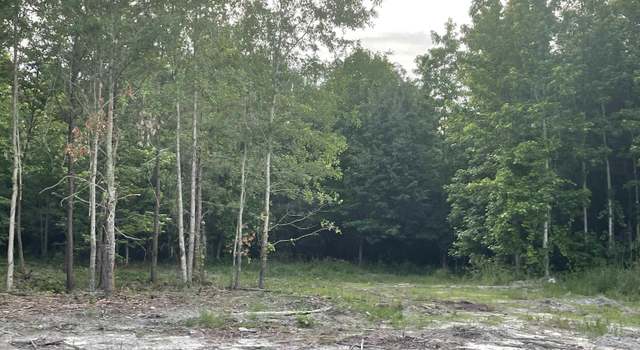 Photo of 00 Conner Rd Lot 5, Hodges, SC 29653