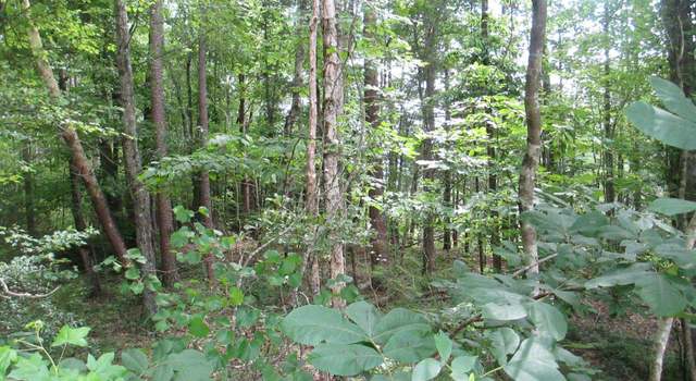 Photo of 000 Bonner Rd, Mountain Rest, SC 29664