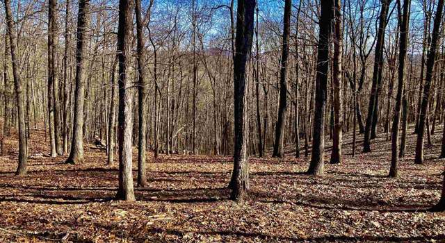 Photo of 141 Cherokee Rose Trl, Marietta, SC 29661