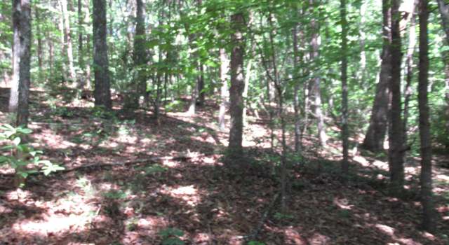 Photo of 221 River Bluff Rd, Cleveland, SC 29635
