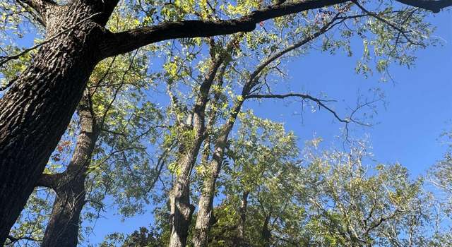 Photo of 00 Chandler Rd, Easley, SC 29640