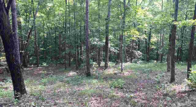 Photo of 200 Darting Sparrow Way, Marietta, SC 29661