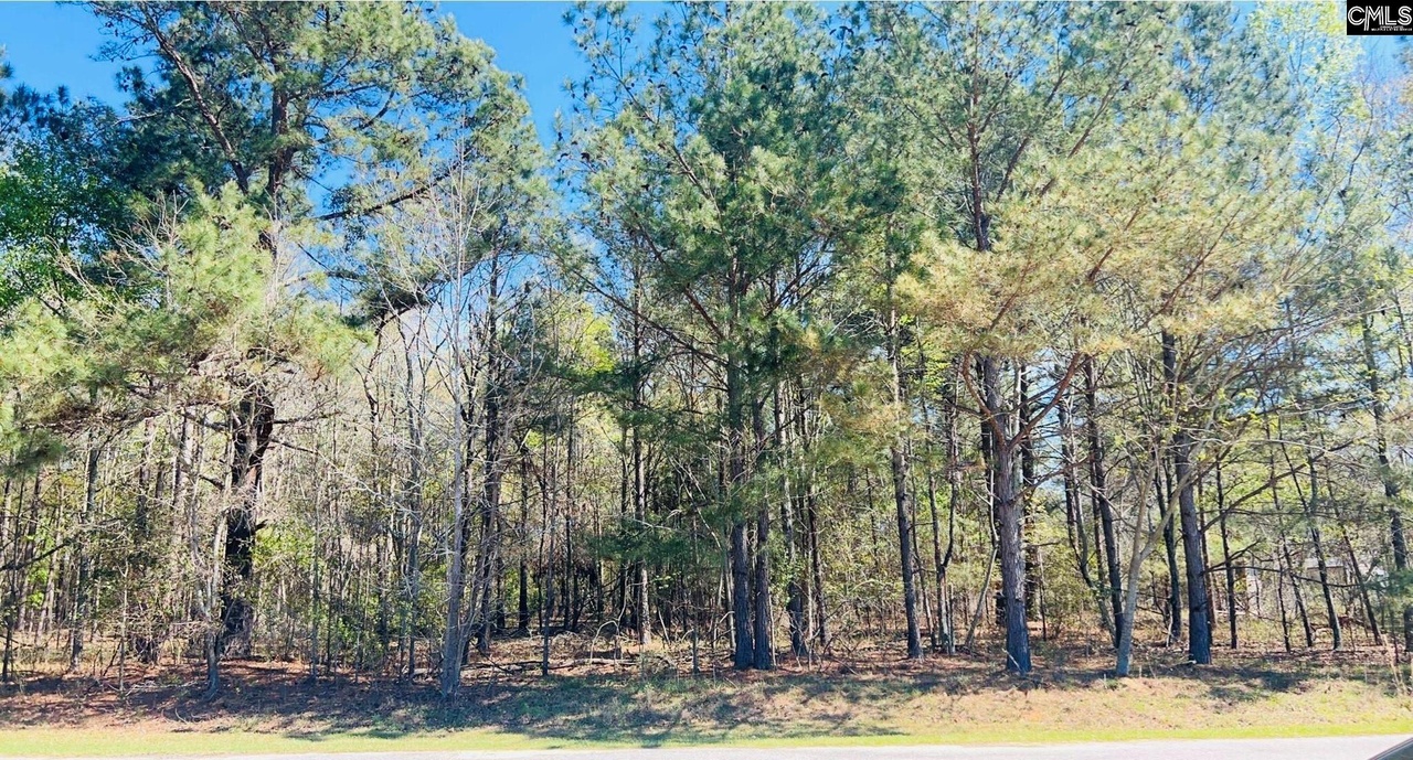 142 Brown Meadows Ct, Orangeburg, SC 29115 MLS 558754 Redfin