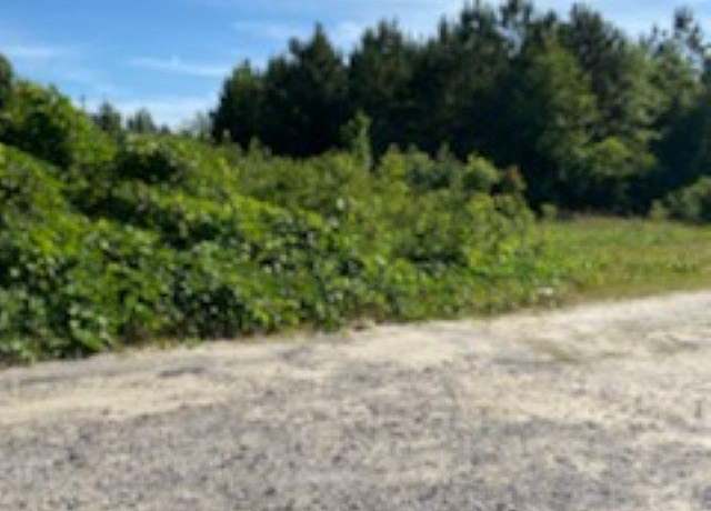 Property at 5314 Hwy 321, Gaston, SC 29053