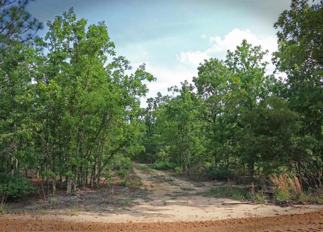 Property at TBD Webbs Pond, Williston, SC 29853