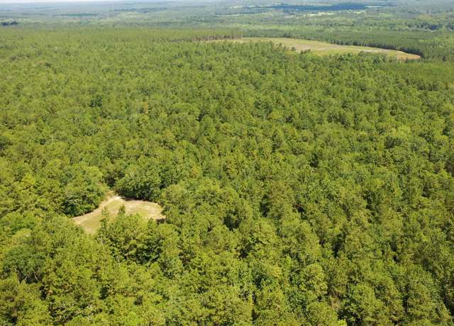 Property at 0 Huckleberry Finn Rd, Batesburg, SC 29006