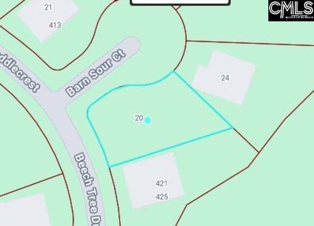 Property at 20 Barn Sour Ct, Blythewood, SC 29016