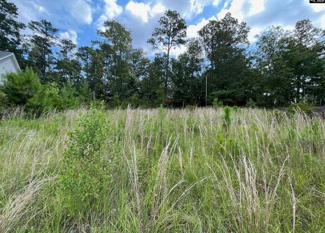 Property at 769 Club Cottage Dr, Blythewood, SC 29016