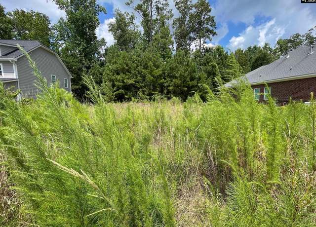 Property at 84 Dogwood Cottage Ct, Blythewood, SC 29016