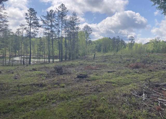 Property at 0 Wood Duck Rd, Ridgeway, SC 29130-0000