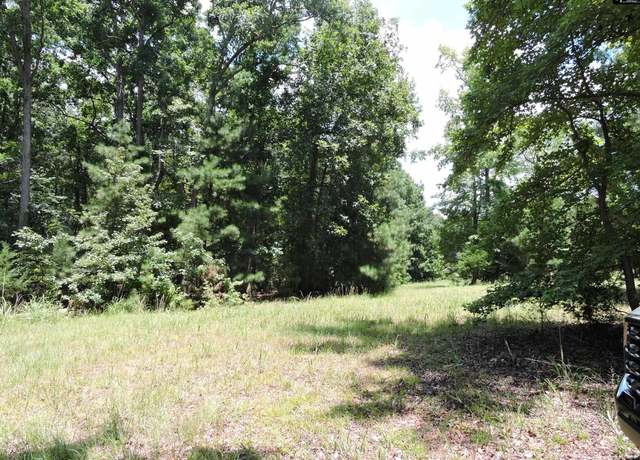 Property at TBD Hawley Crk, Prosperity, SC 29127
