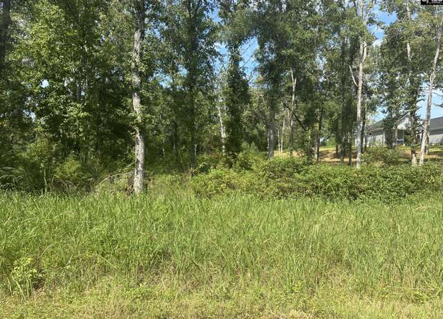 Property at 00 Seagull Ln, Prosperity, SC 29127