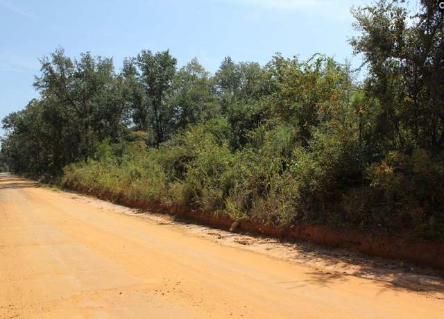 Property at Poinsettia Rd, Wagener, SC 29164