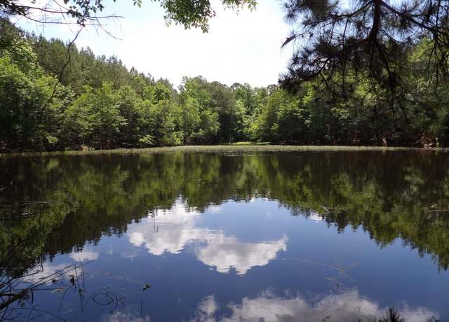 Property at 0 Line St, Batesburg, SC 29006