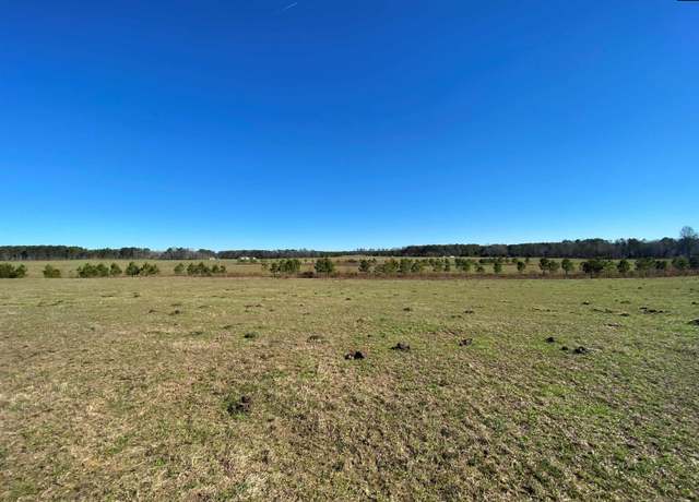 Property at 531 Smyrna Chruch Rd, Elgin, SC 29045