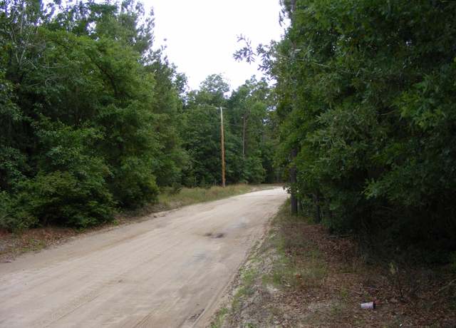 Property at 133 Tom Lucas Rd, Pelion, SC 29123-0000