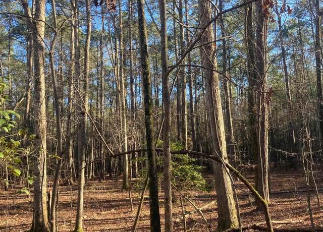 Property at 0 Church, Prosperity, SC 29127