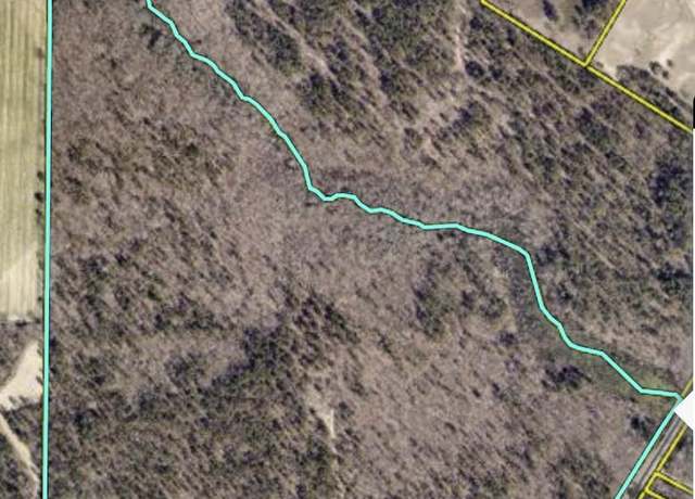 Property at 0 Hartley Quarter Rd, Pelion, SC 29123