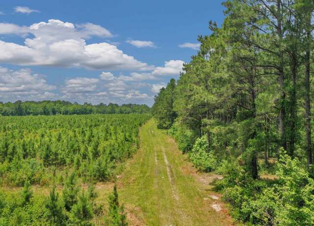 Property at 0000 N Brewington, Manning, SC 29102