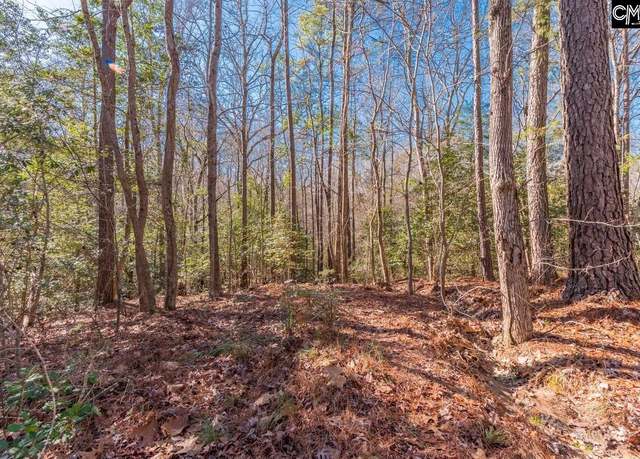 Property at 0 Morgan Dr, Lexington, SC 29072