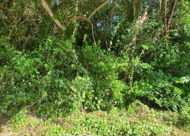 Property at 1671 Desoto Rd, Orangeburg, SC 29115-0000