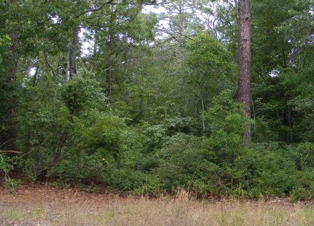 Property at 412 Sells Ct, Pelion, SC 29123-0000