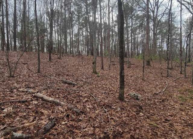 Property at 2458 Chapin Rd, Chapin, SC 29036
