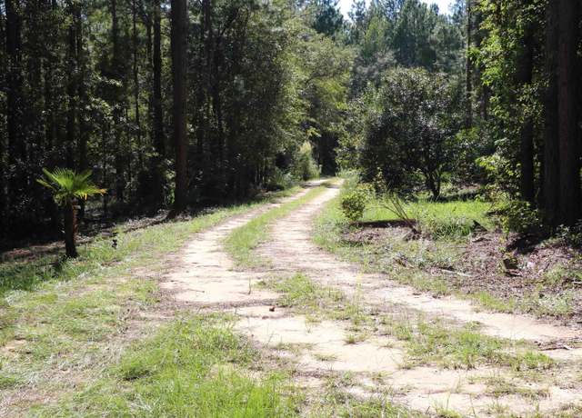 Property at TBD Bubba Gunter Rd, Wagener, SC 29164