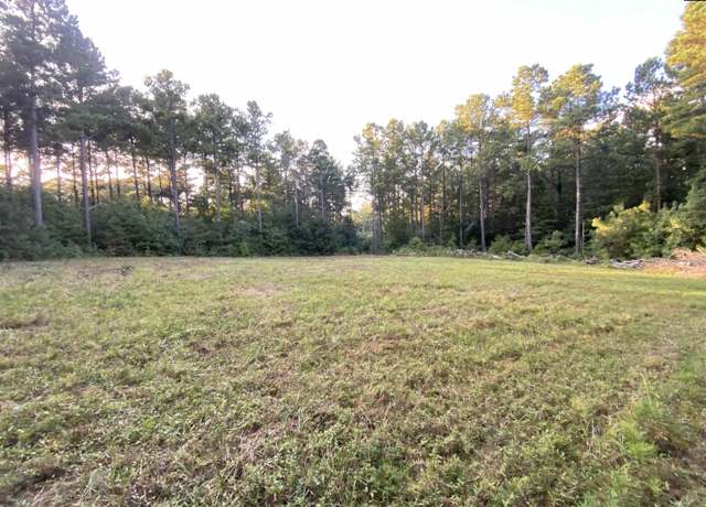 Property at 371 Holy Trinity Church, Little Mountain, SC 29075