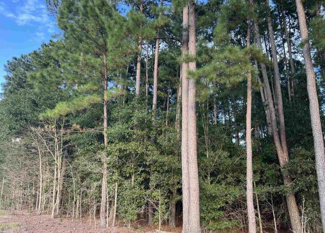 Property at 0 Tindal Rd, Pelion, SC 29123