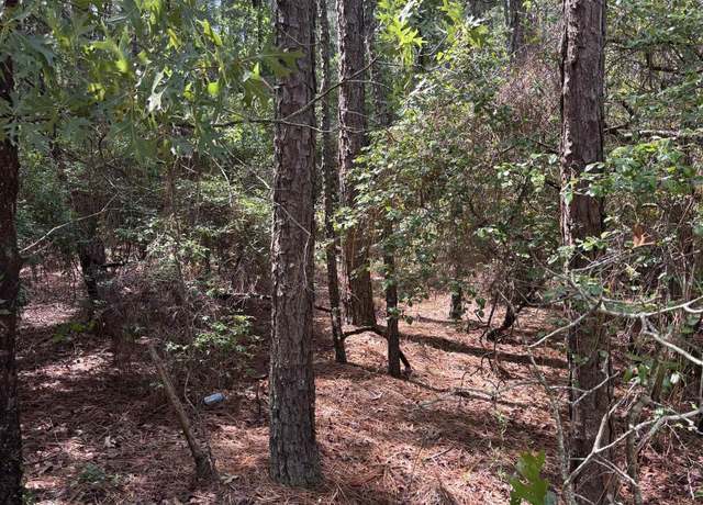 Property at Lot 2 Gary Hallman Cir, Gilbert, SC 29070