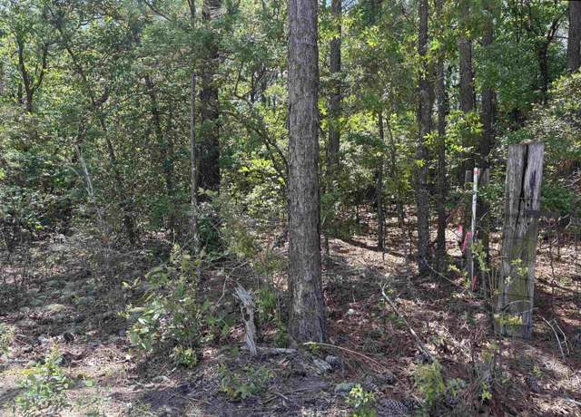 Property at Lot 4 Gary Hallman Cir, Gilbert, SC 29070
