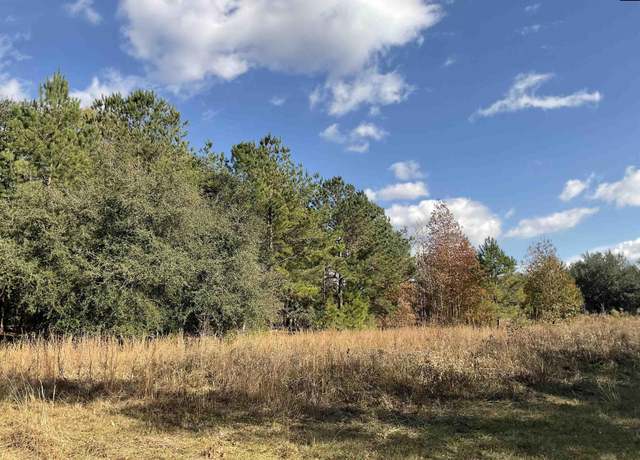 Property at 7427 Carolina Hwy, Denmark, SC 29042