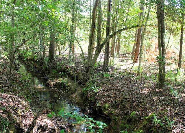 Property at TBD Crooked Creek Rd, Chapin, SC 29036