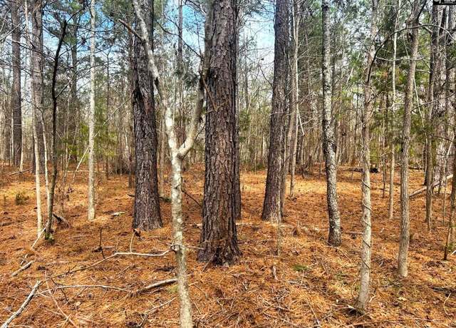 Property at TBD Dreher Island Rd, Prosperity, SC 29127