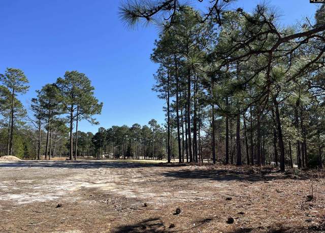 Property at 0 Bachman Rd, West Columbia, SC 29172
