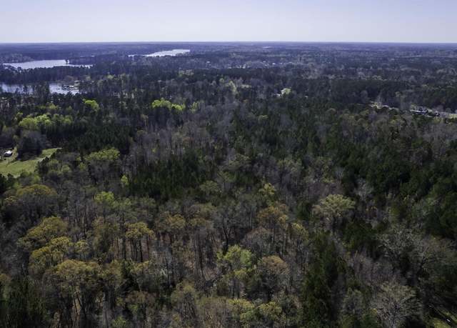 Property at 359 Holly Point Rd, Prosperity, SC 29127