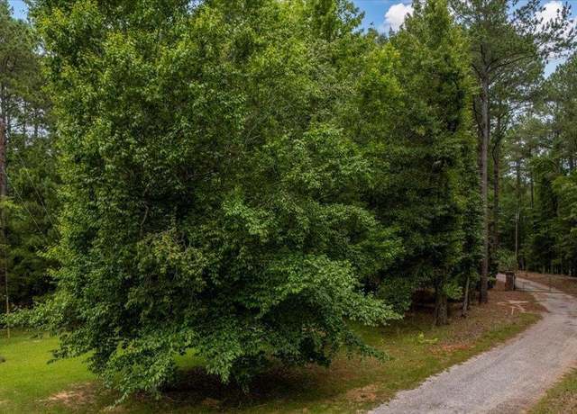 Property at 301 Bobs Pointe Ln, Jenkinsville, SC 29065