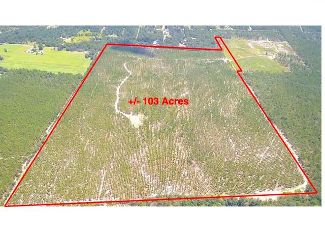 Property at 0 Bub Shumpert Rd, Pelion, SC 29123