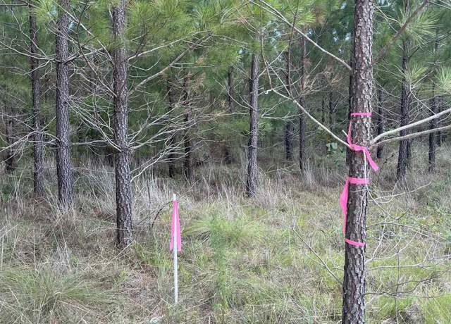 Property at BFF 2B Brunson Teal Rd Unit BFF 2B, Kershaw, SC 29584