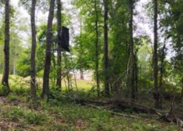 Property at Double Pond Rd, Blackville, SC 29817